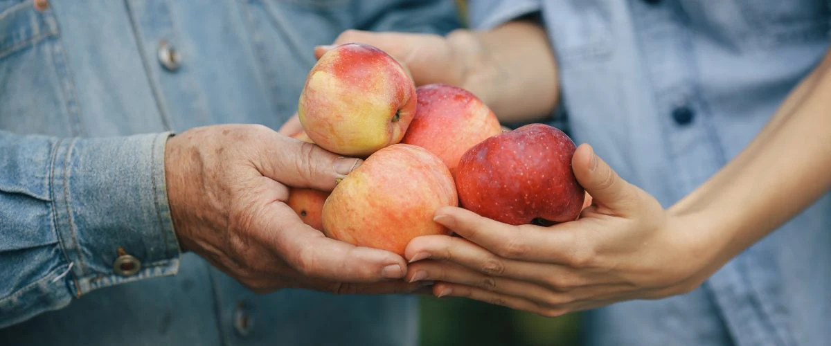 zasady diety jabłkowej