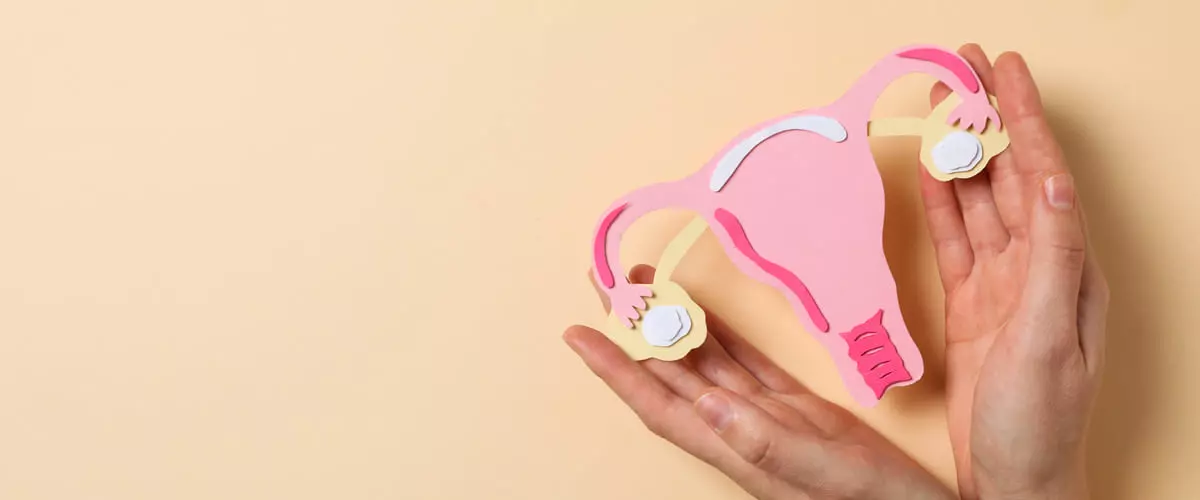 Dłonie otaczają papierowy model układu rozrodczego kobiety na pastelowym tle (symbol troski o zdrowie przy endometriozie)