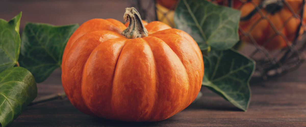 Właściwości dyni - dlaczego warto ją jeść? | WygodnaDieta.pl