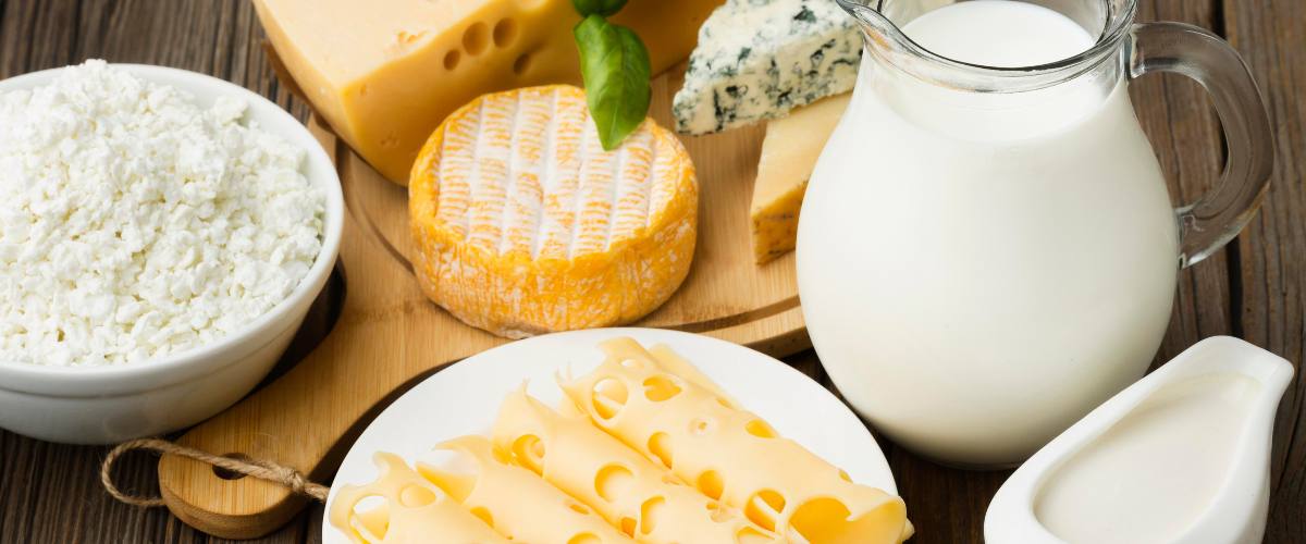 produkty mleczne - nietolerancja laktozy