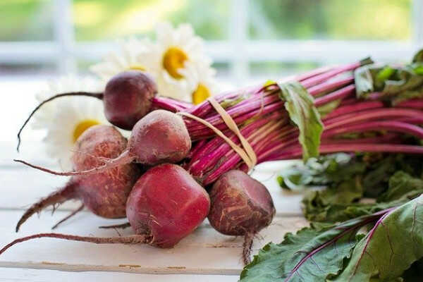 właściwości buraków