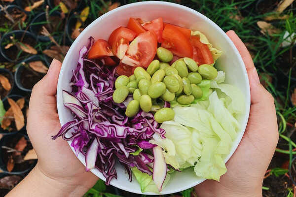 dieta kopenhaska - dozwolone produkty 