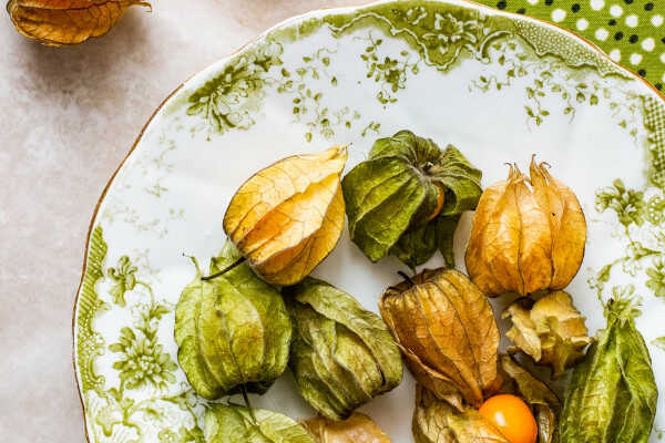 miechunka właściwości