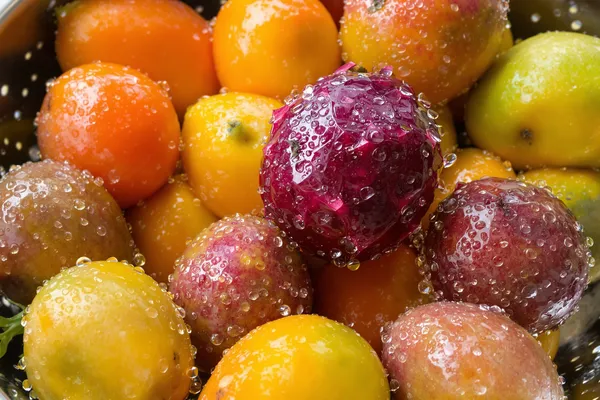 dieta podczas wakacji w afryce