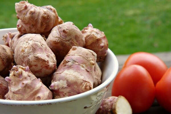 właściwości topinamburu