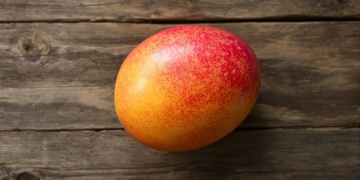 owoc mango