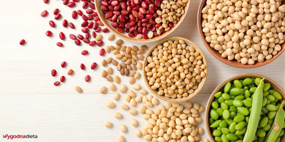 rośliny strączkowe: czerwona i biała fasola, zielona fasola strączkowa