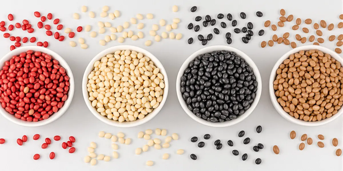 różne rodzaje soczewicy