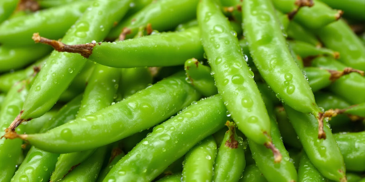 Świeże strąki grochu, rosa