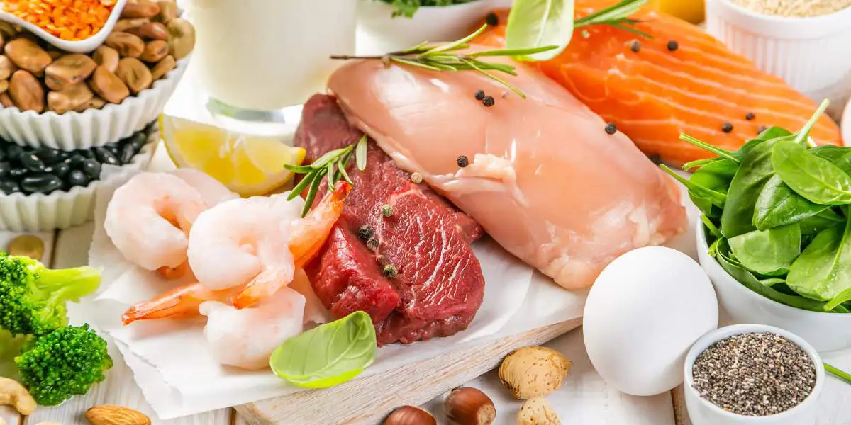 polecane źródła białka w diecie 3000 kcal