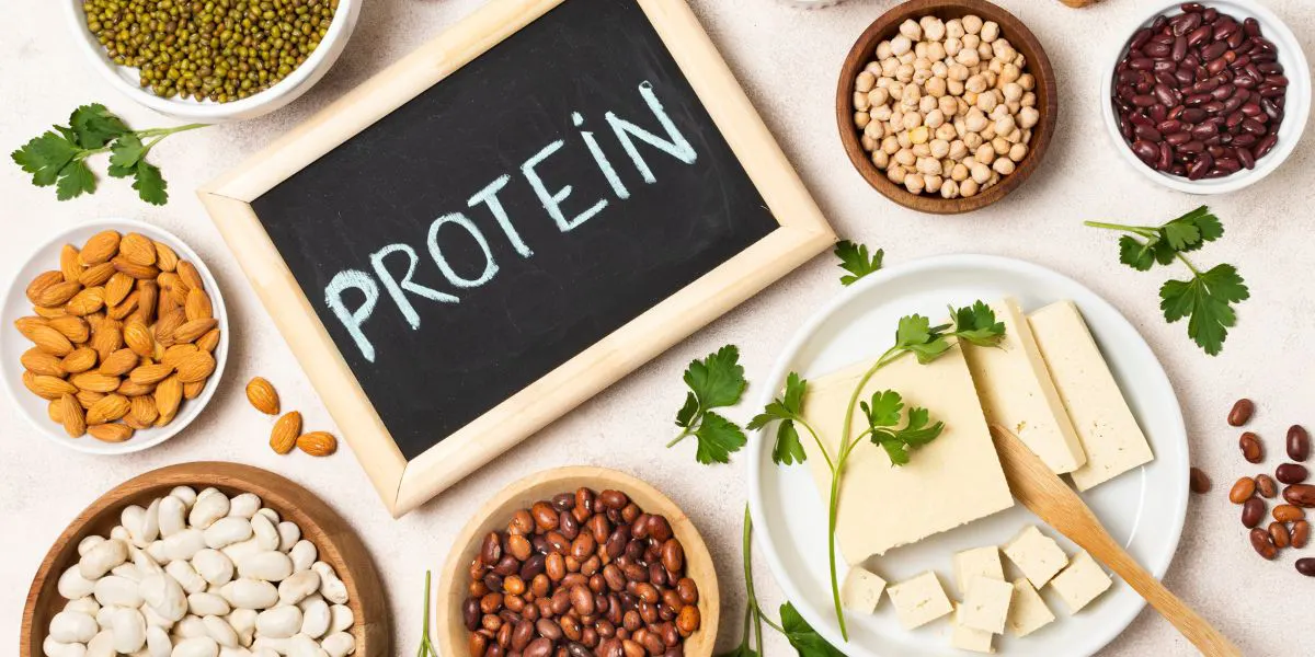 źródła białka podczas wysokoproteinowej fazy diety oxy